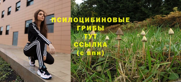 хмурый Арсеньев