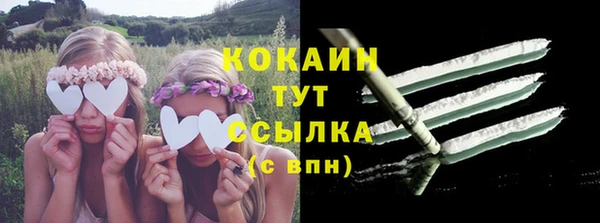 хмурый Арсеньев
