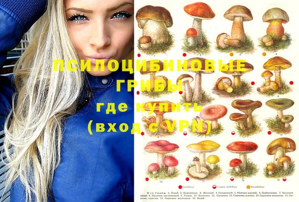 скорость Аркадак