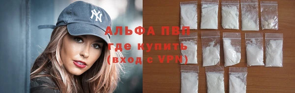 хмурый Арсеньев