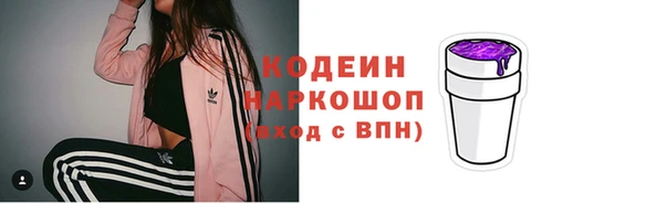 хмурый Арсеньев