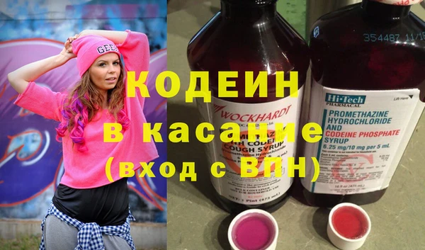 хмурый Арсеньев
