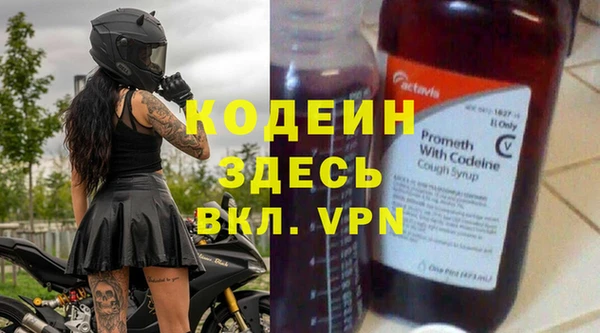 хмурый Арсеньев