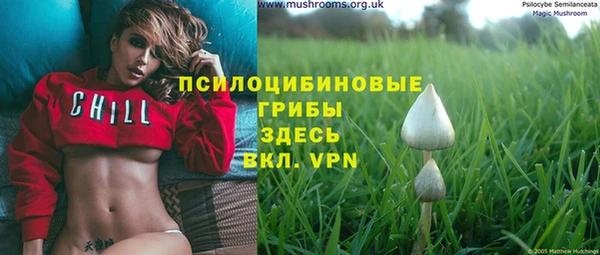 хмурый Арсеньев