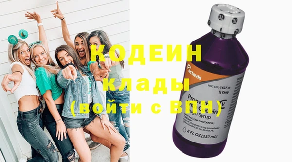 хмурый Арсеньев