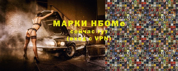 хмурый Арсеньев