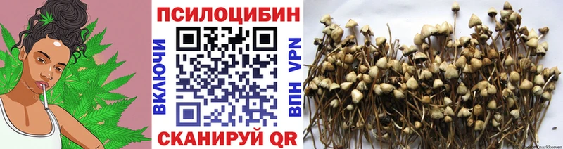 Псилоцибиновые грибы GOLDEN TEACHER  где можно купить наркотик  Калязин 